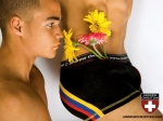 andrew christian�ڿ���ģ��ѡ��Ƭ