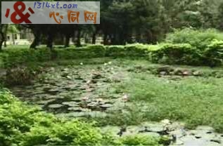 Ůͬ־ŰŮǹⶪˮ 10