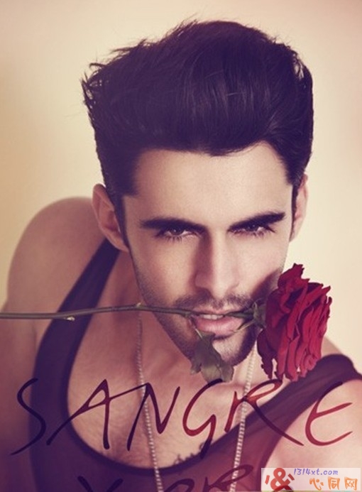 exterfaceƷʥѪģroman