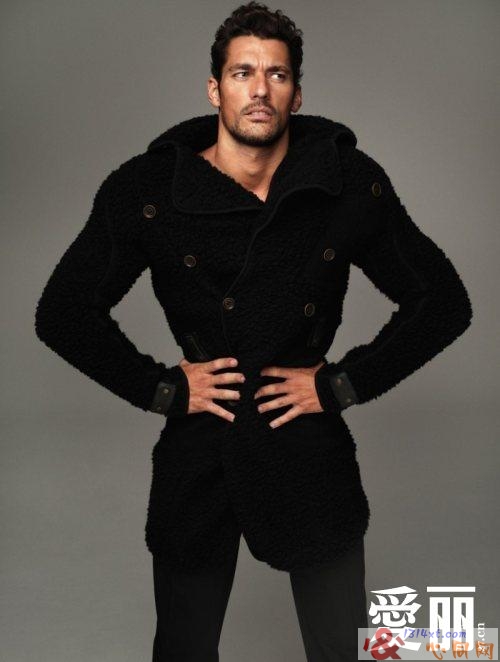 ģDavid GandyAttitudeдƬ