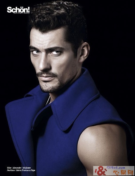 D&GģDavid GandyԸд