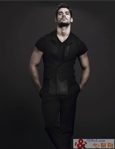 D&GģDavid GandyԸд