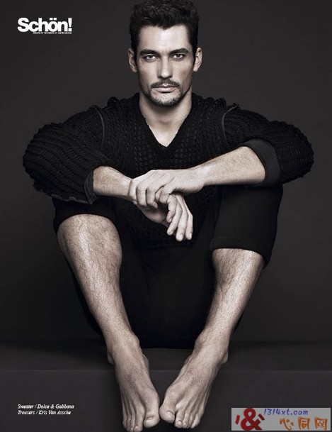 D&GģDavid GandyԸд