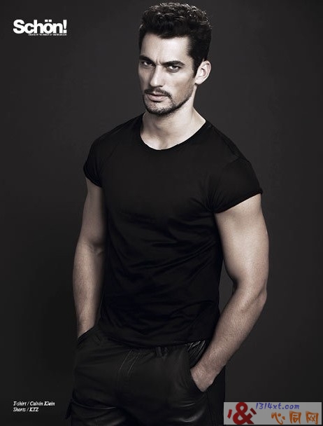 D&GģDavid GandyԸд