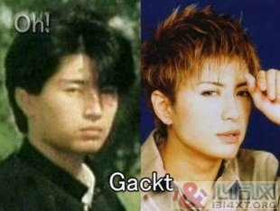 GacktӾϵи֣