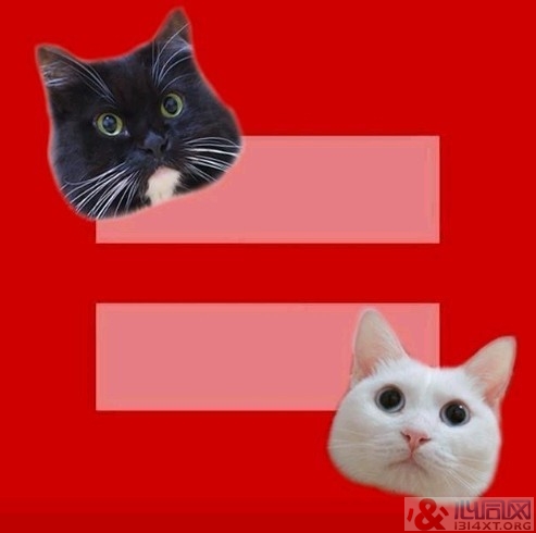 ڰ˫èǡǡèҲ֧ͬ־