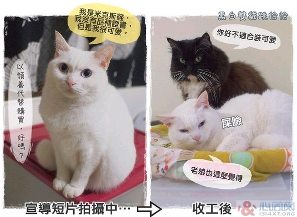 ڰ˫èǡǡèҲ֧ͬ־