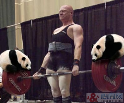 ͬ־Chris MorganˢӲ¼