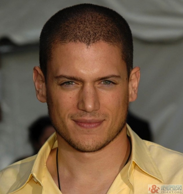 ԽWentworth Miller̹ͬ