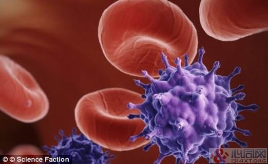 西伯利亚神奇蘑菇有望治疗艾滋病