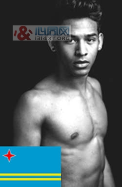 2013ͬMr. Gay World TOP10