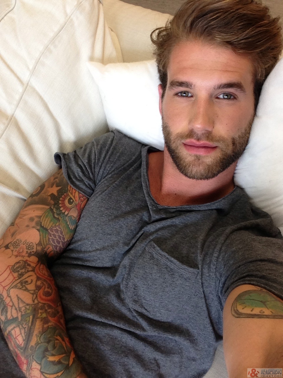 ¹ģAndre Hamann Ը