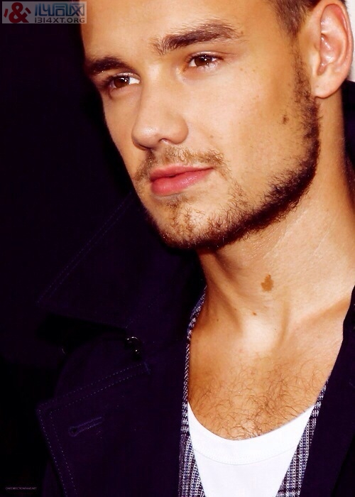 Liam Payne԰